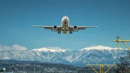 1774874990493.webp