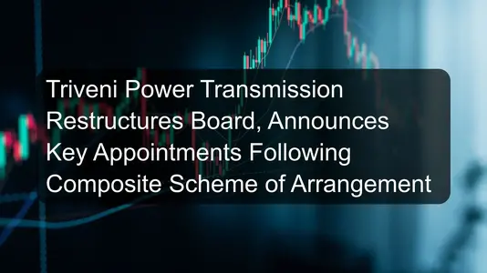 Triveni Power Transmission Restructures Board, Announces Key Appointments Following Composite Scheme of Arrangement