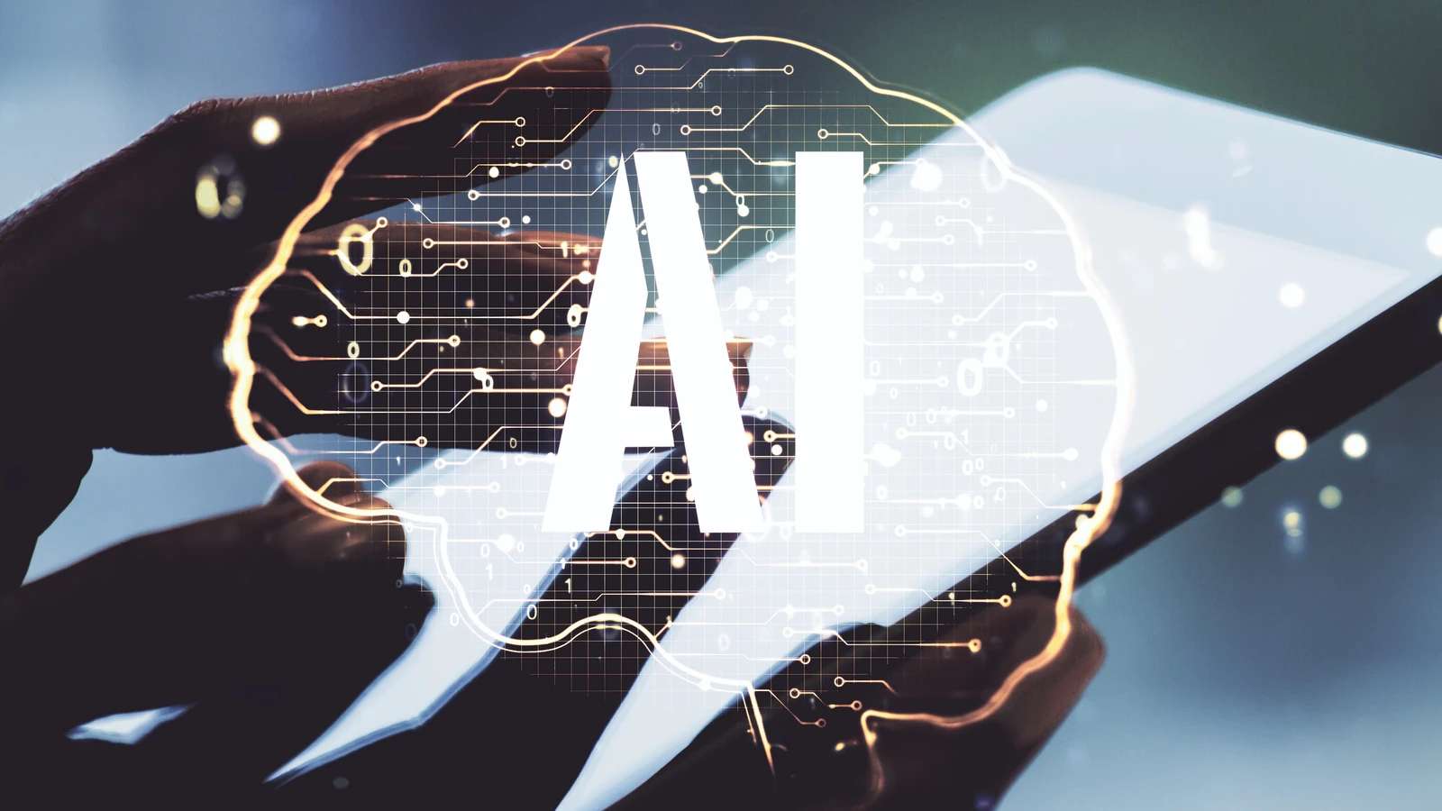 1771154487498.webp 1771154487498.webp