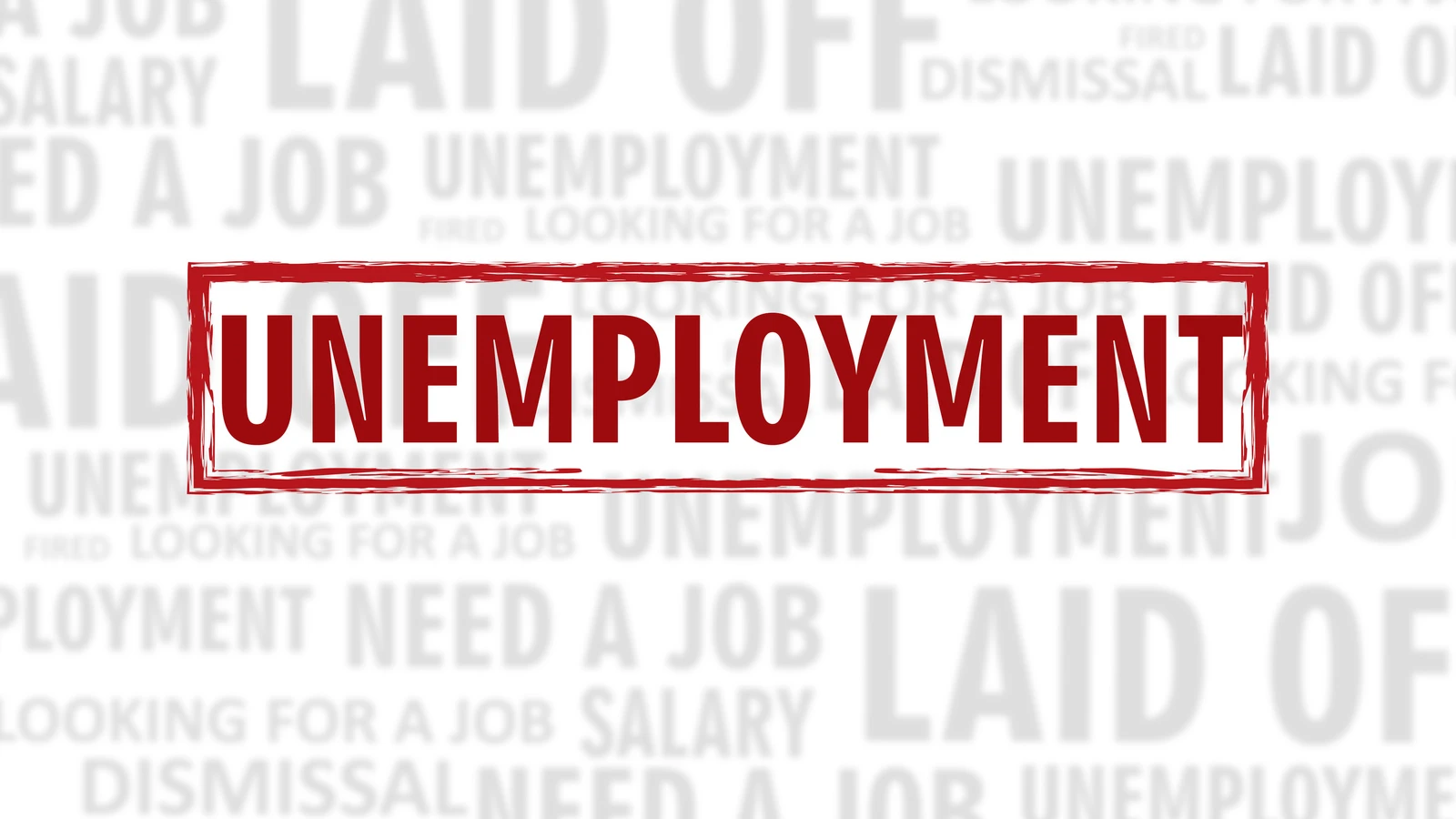 1771248759088.webp 1771248759088.webp