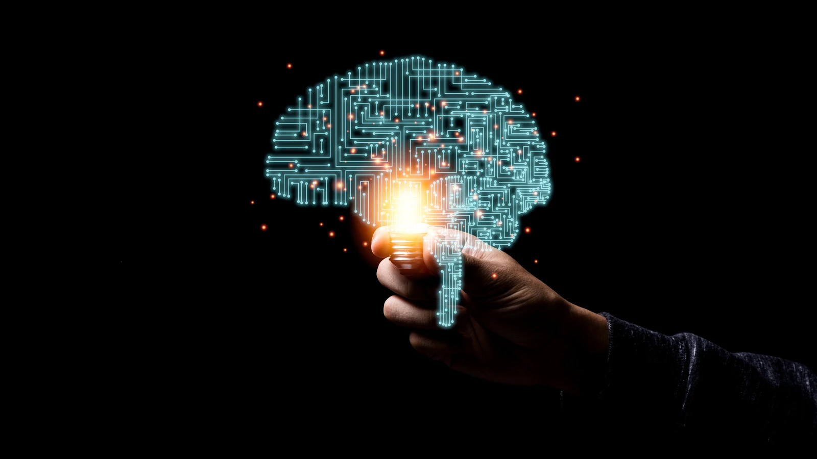 1771313483990.webp 1771313483990.webp