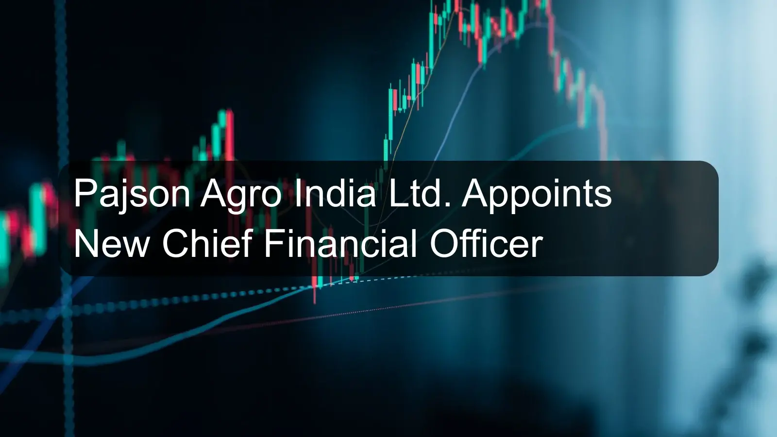 Pajson Agro India Ltd. Appoints New Chief Financial Officer