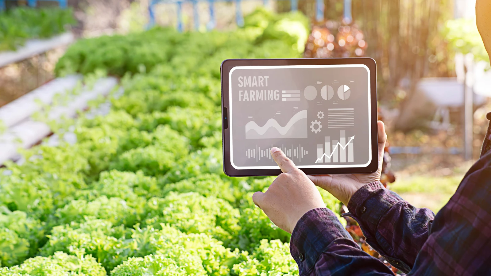 1774865350351.webp 1774865350351.webp