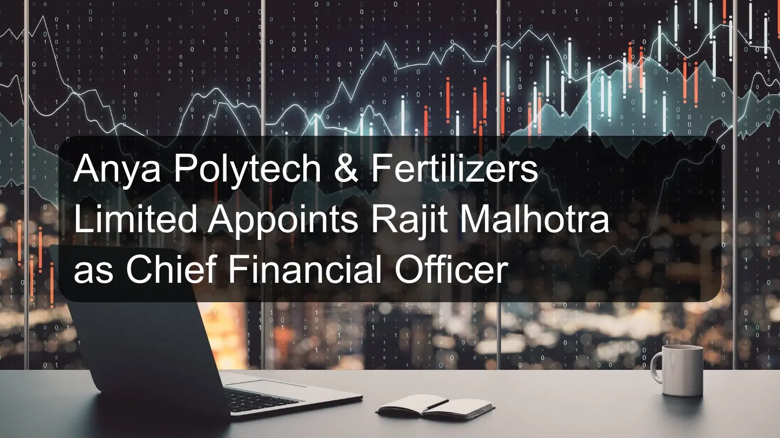 Anya Polytech & Fertilizers Limited Appoints Rajit Malhotra as Chief Financial Officer