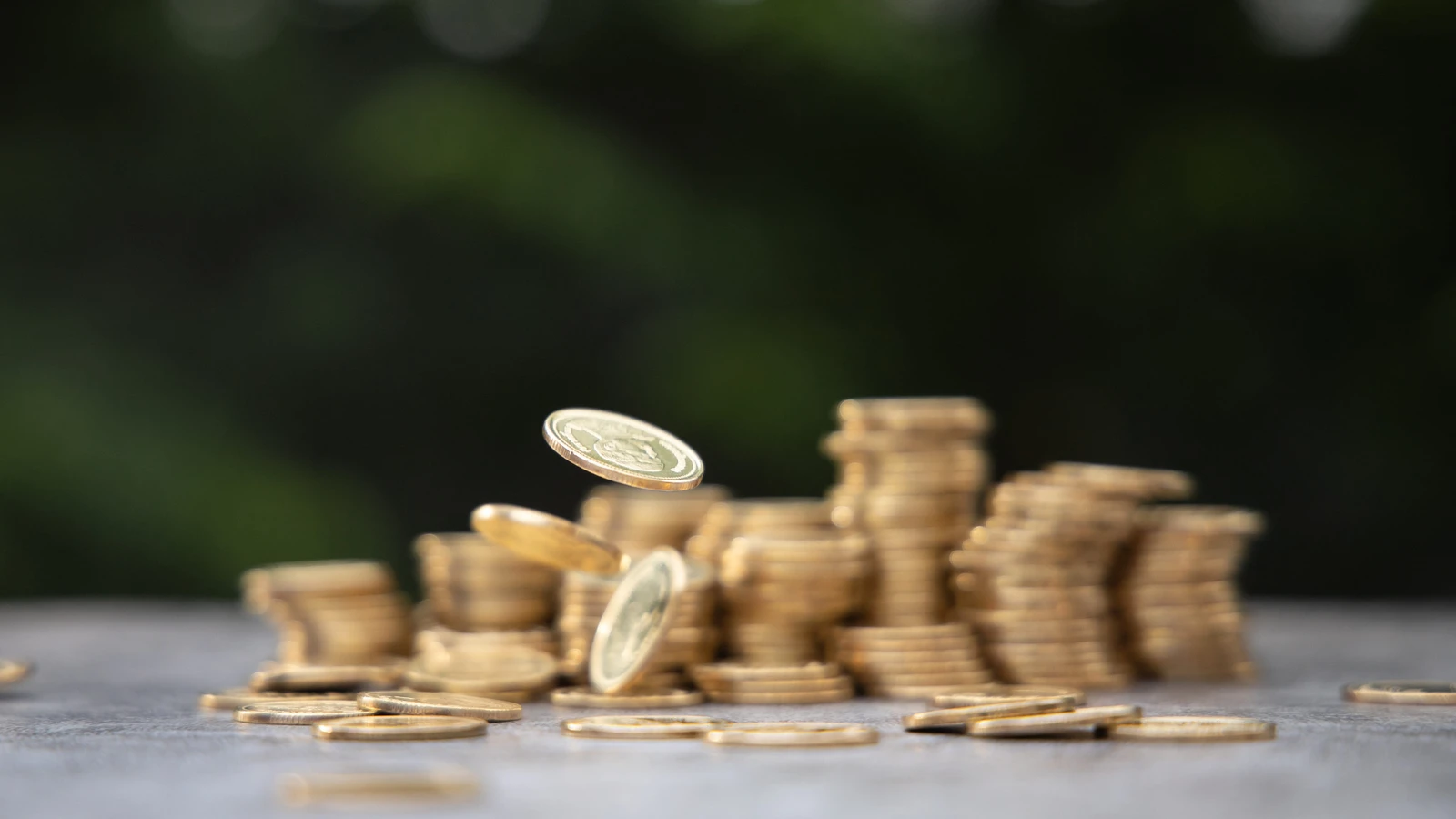 1774877511064.webp 1774877511064.webp