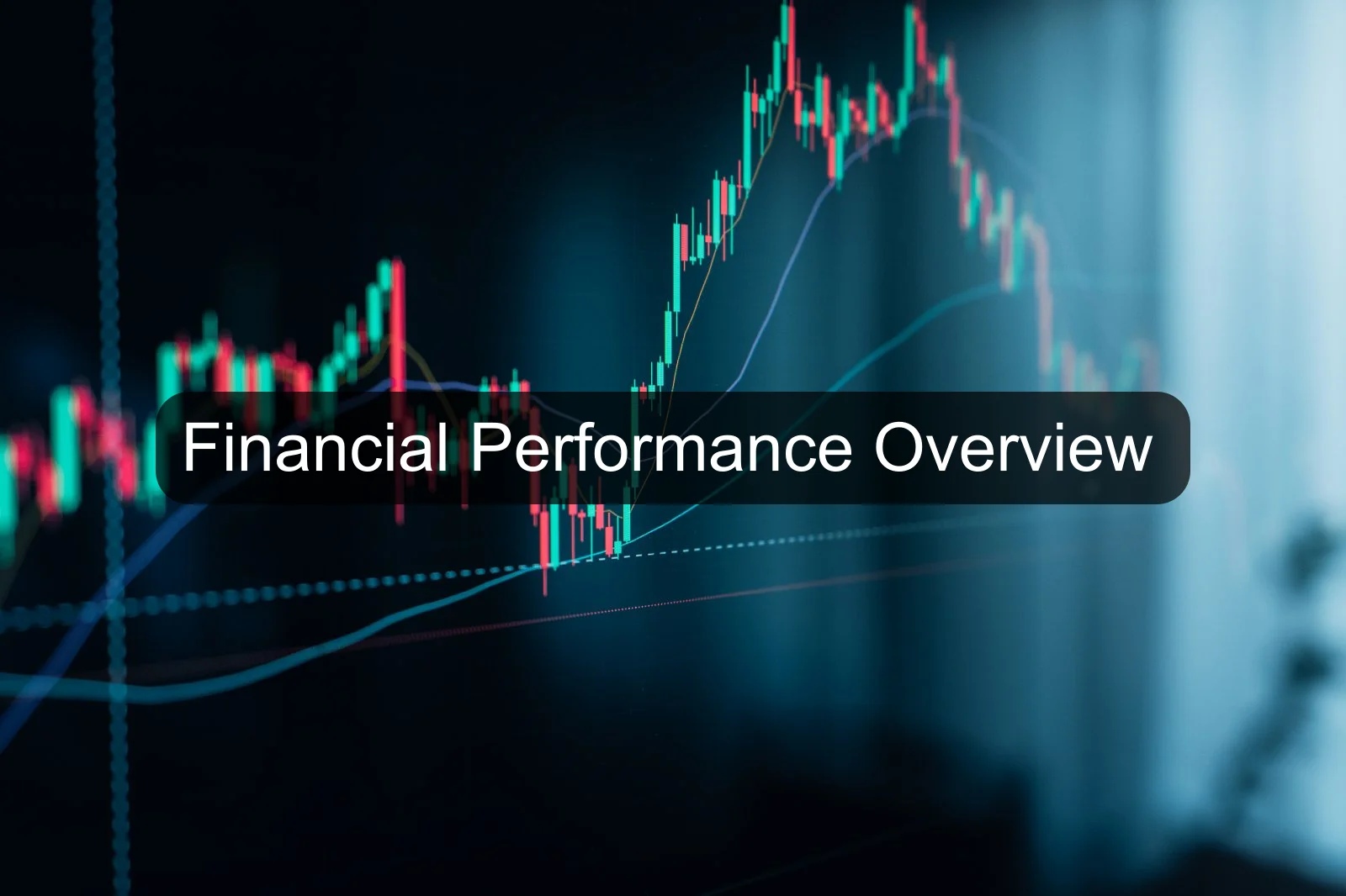Financial Performance Overview