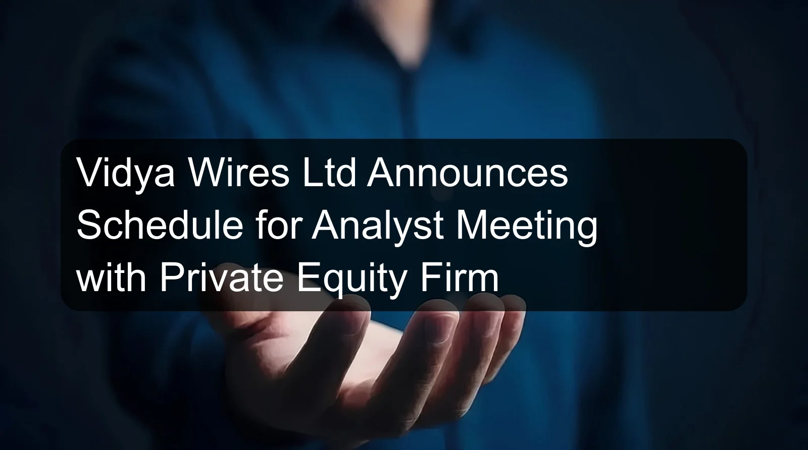 Vidya Wires Ltd Announces Schedule for Analyst Meeting with Private Equity Firm