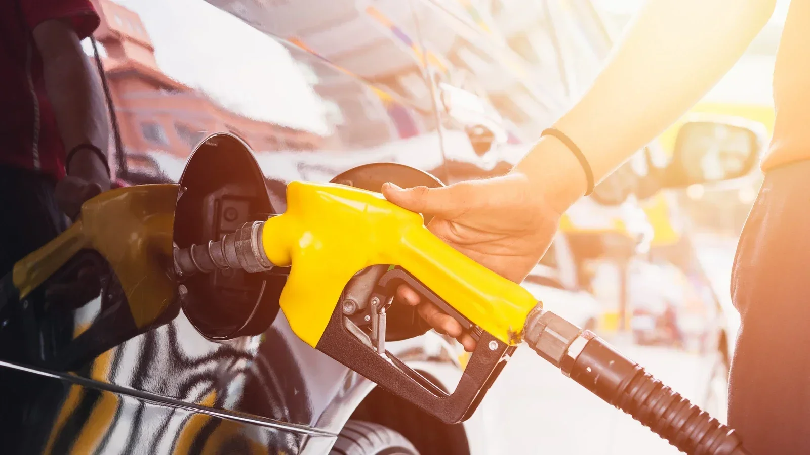 1775970985956.webp 1775970985956.webp