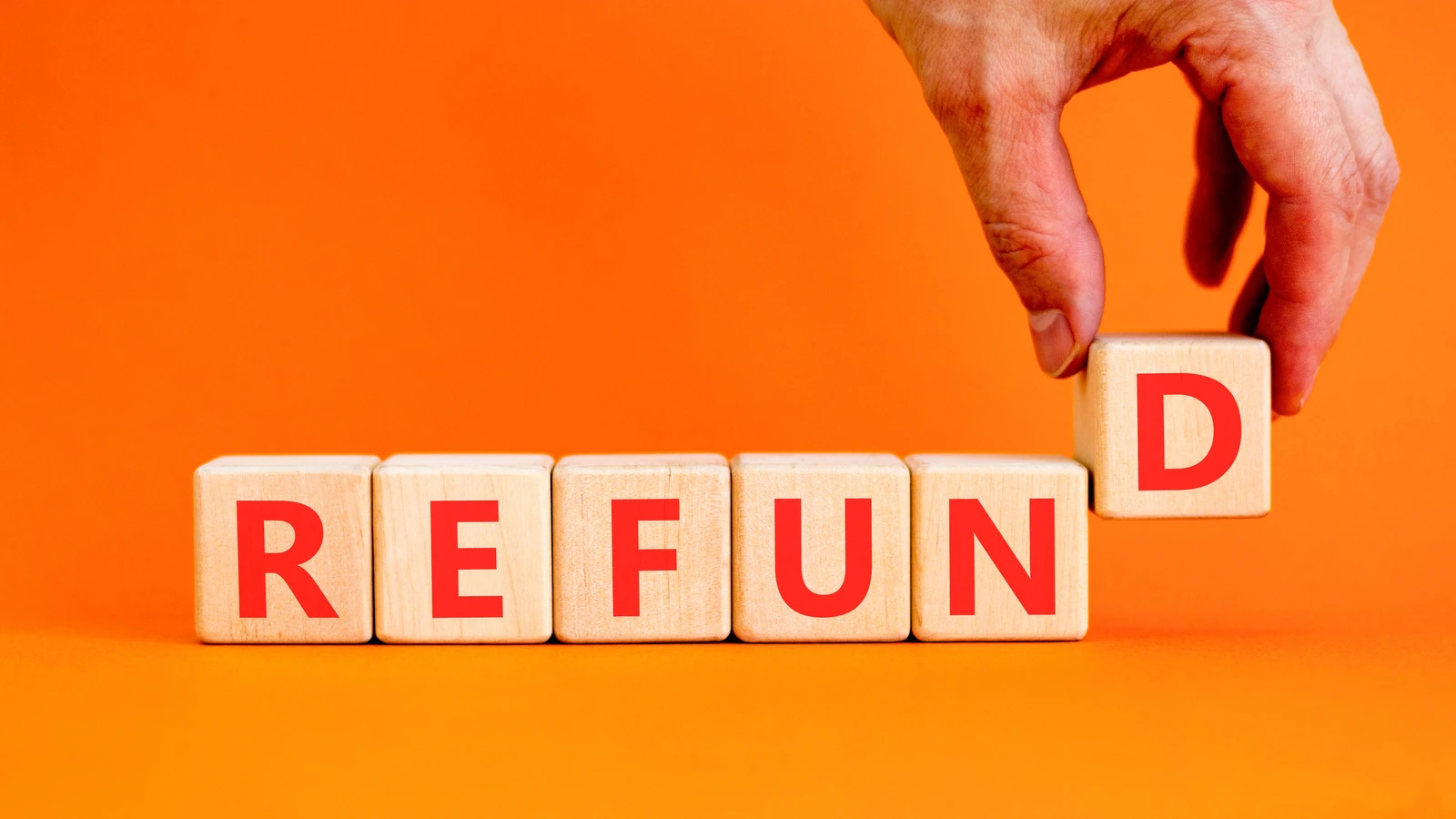 1771996731465.webp 1771996731465.webp