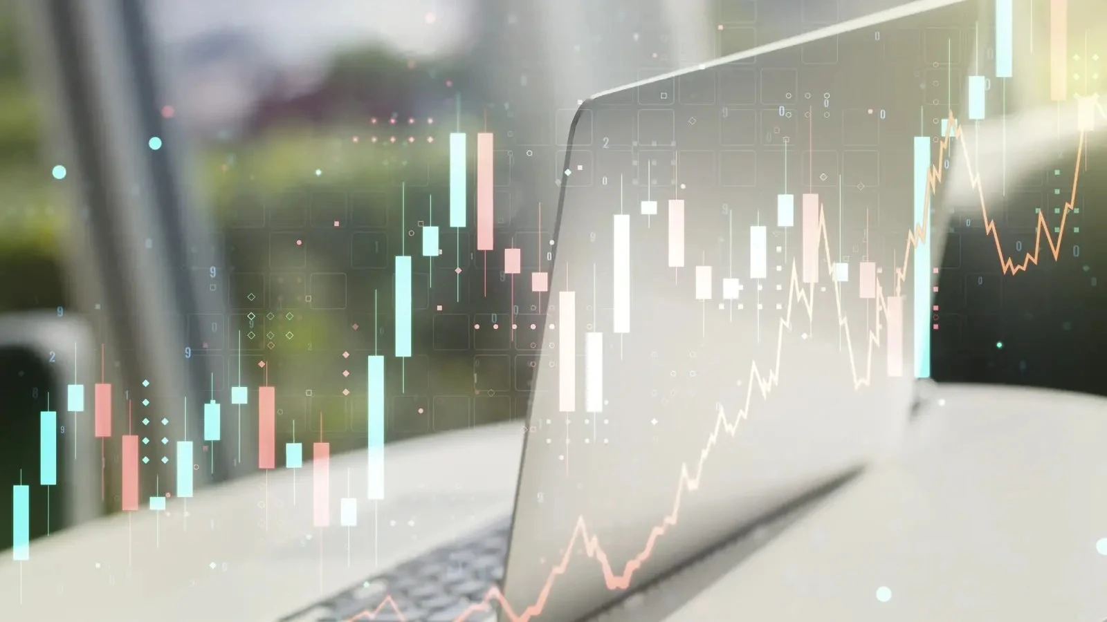 HSBC India Reports Strong Growth, Leads in Wealth Management