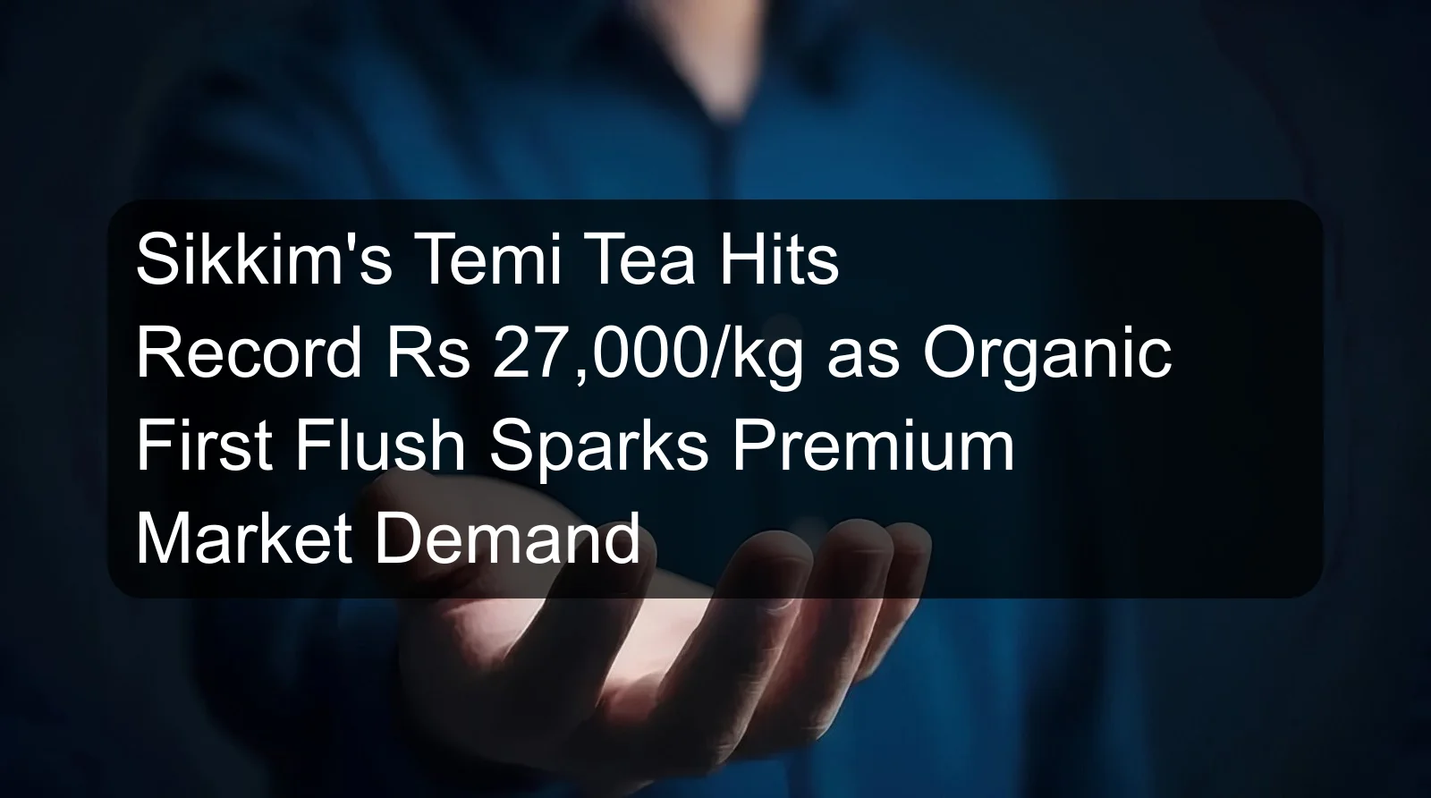 Sikkim's Temi Tea Hits Record Rs 27,000/kg as Organic First Flush Sparks Premium Market Demand
