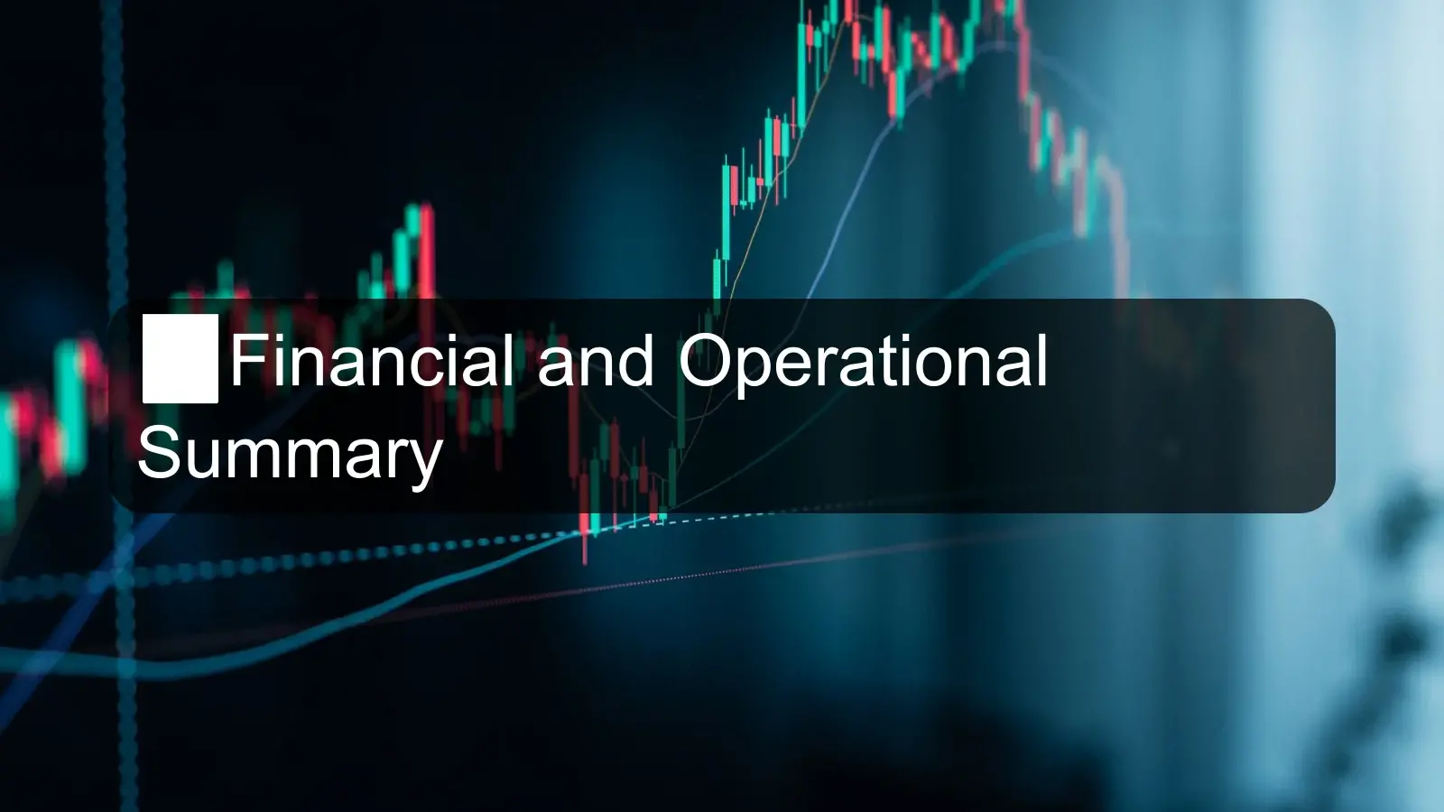 📊 Financial and Operational Summary