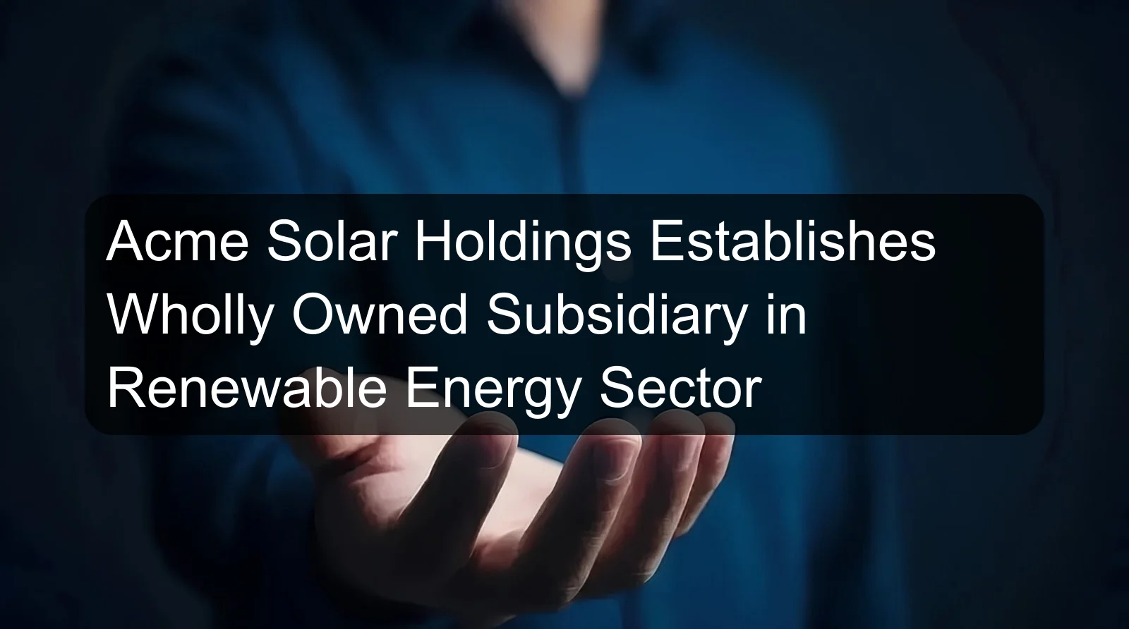 Acme Solar Holdings Establishes Wholly Owned Subsidiary in Renewable Energy Sector
