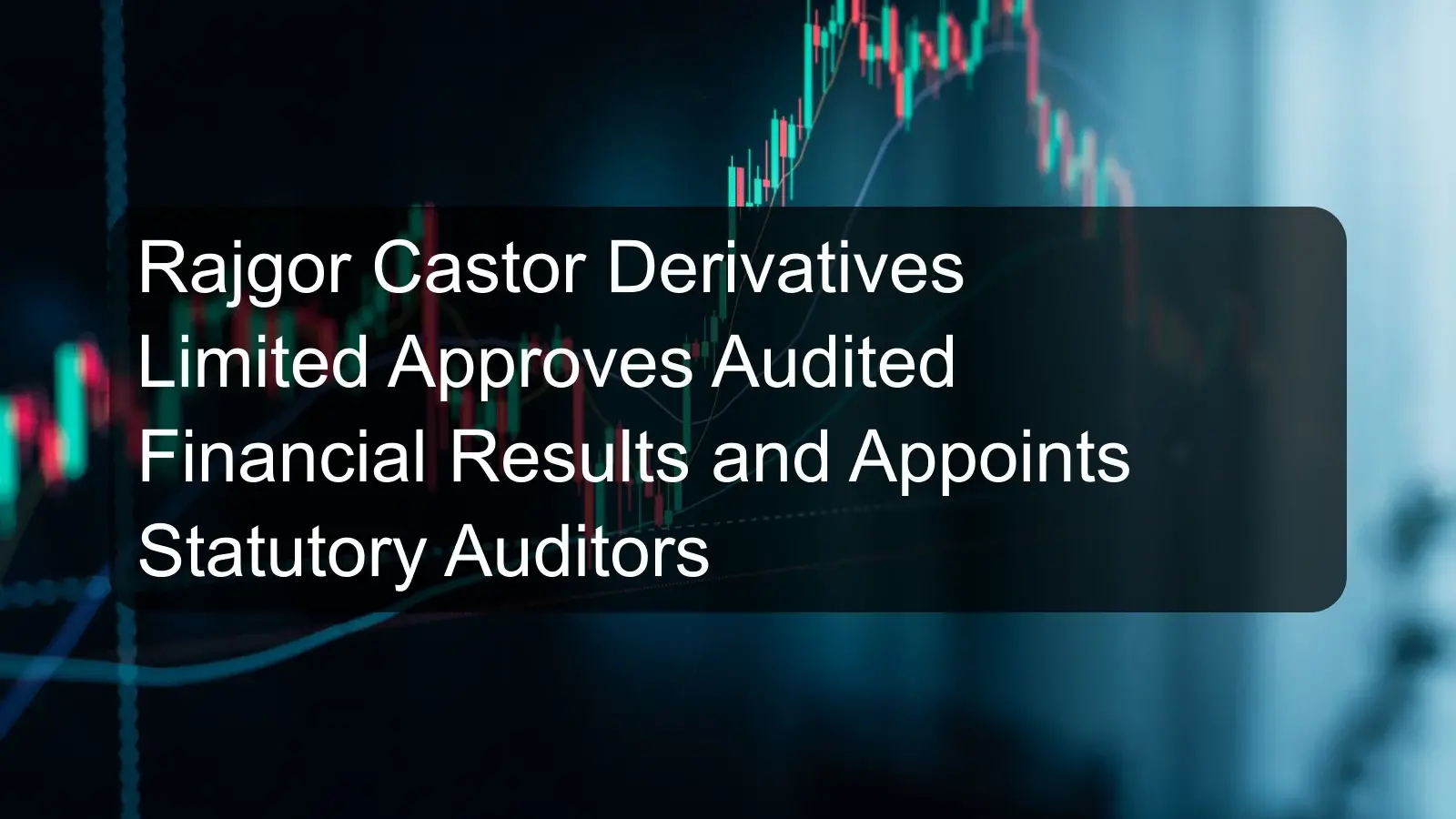 Rajgor Castor Derivatives Limited Approves Audited Financial Results and Appoints Statutory Auditors