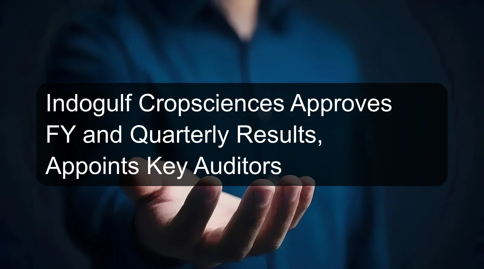 Indogulf Cropsciences Approves FY and Quarterly Results, Appoints Key Auditors