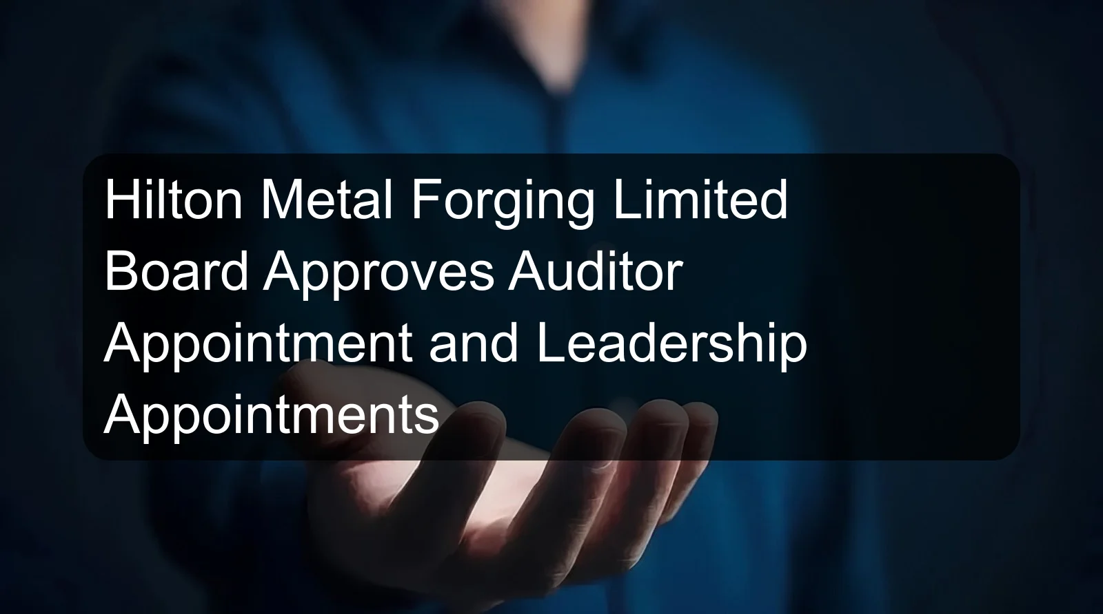 Hilton Metal Forging Limited Board Approves Auditor Appointment and Leadership Appointments