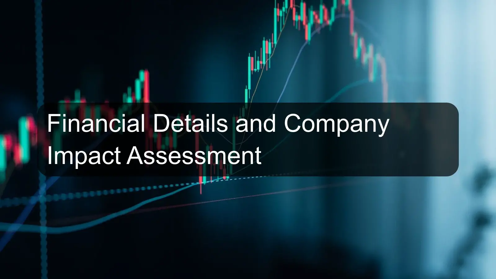 Financial Details and Company Impact Assessment