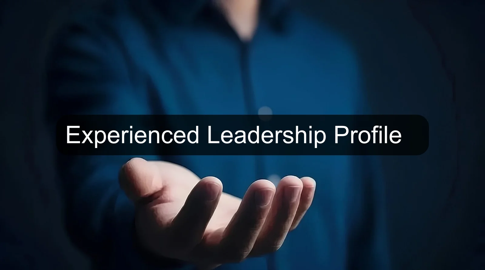 Experienced Leadership Profile Experienced Leadership Profile