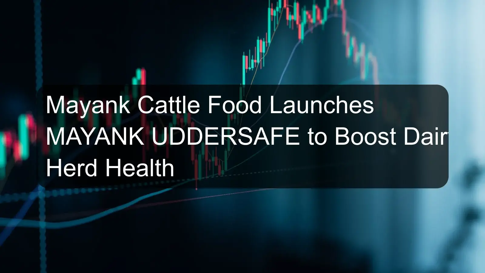 Mayank Cattle Food Launches MAYANK UDDERSAFE to Boost Dairy Herd Health Mayank Cattle Food Launches MAYANK UDDERSAFE to Boost Dairy Herd Health